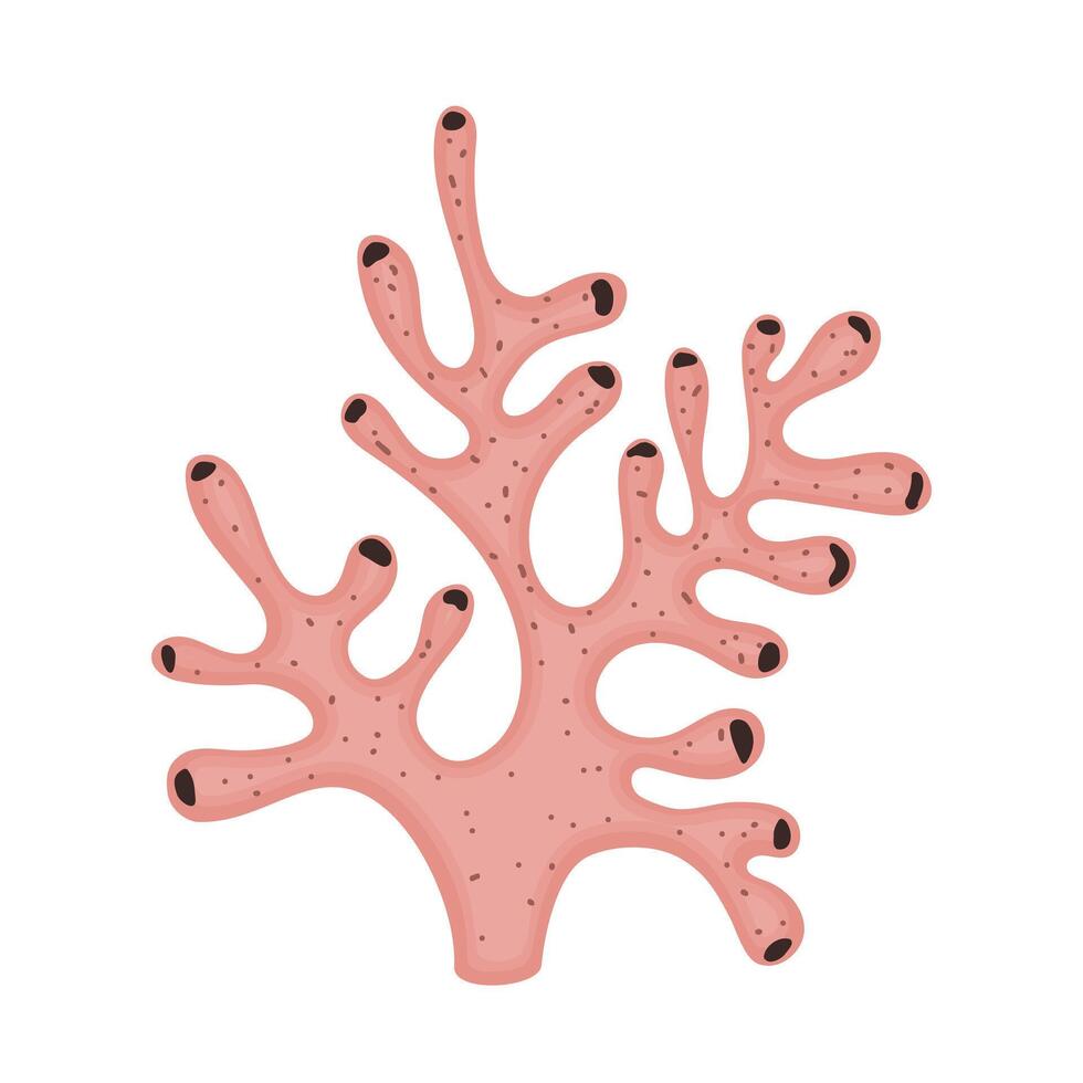 Coral reef branch. Fauna of sea underwater sponges. A marine plant with thick tubular structure. Underwater natural element hand drawing. vector