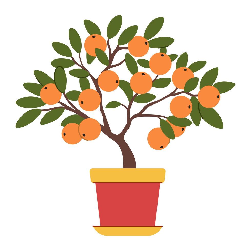 Tangerine tree in a pot. Exotic small tree with fruits. Isolated on white background. vector