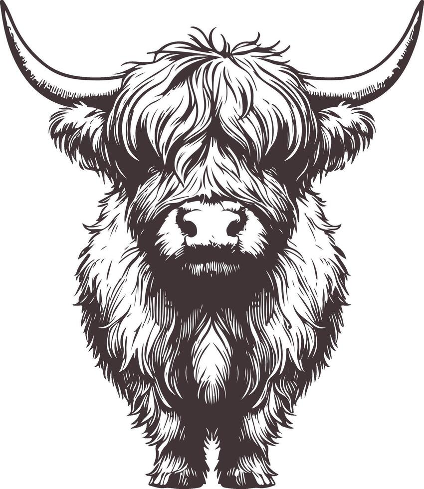 Hand Drawn Highland Cattle Illustration in Detailed Sketch Style, Ideal for Farm Decor, Animal Art vector