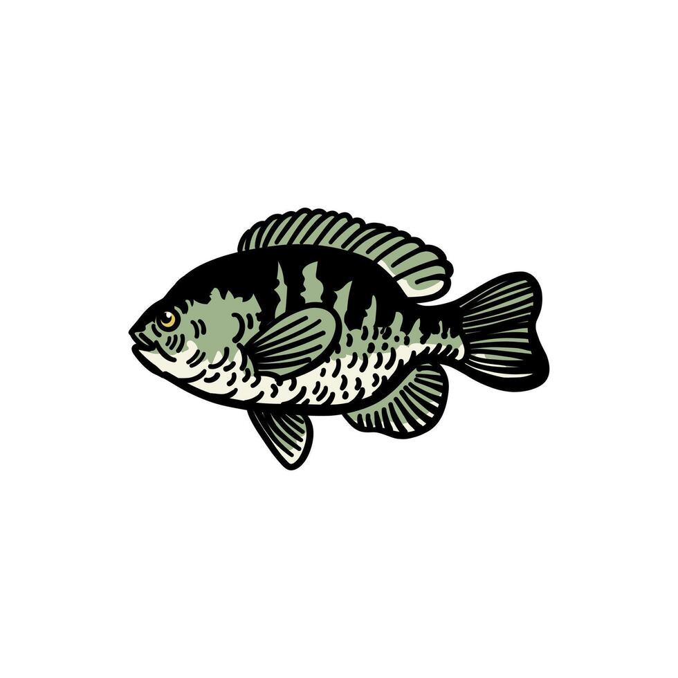 illustration graphic fish for design, template, elemen, illustration, etc vector