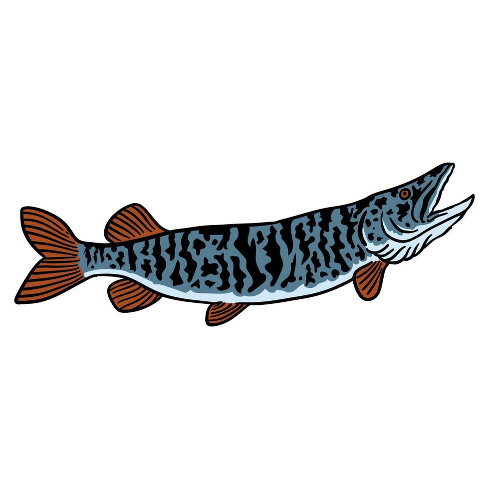 illustration graphic fish for design, template, elemen, illustration, etc vector