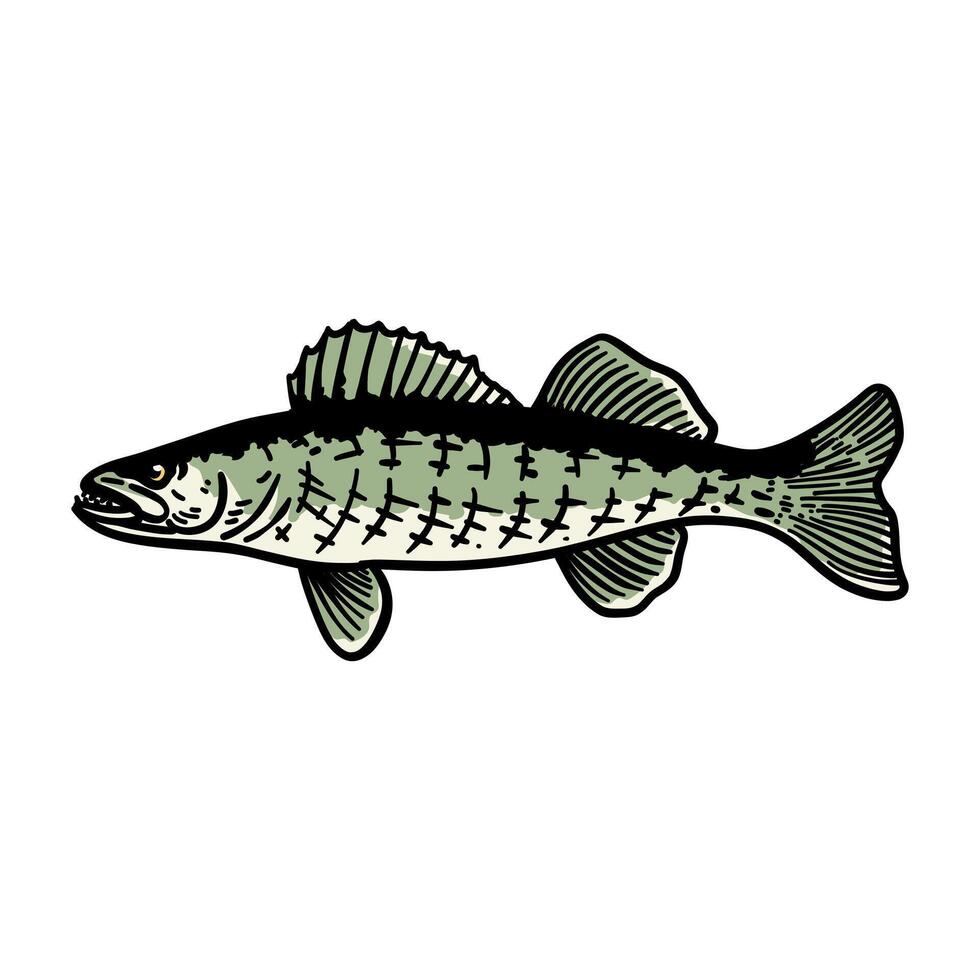 illustration graphic fish for design, template, elemen, illustration, etc vector