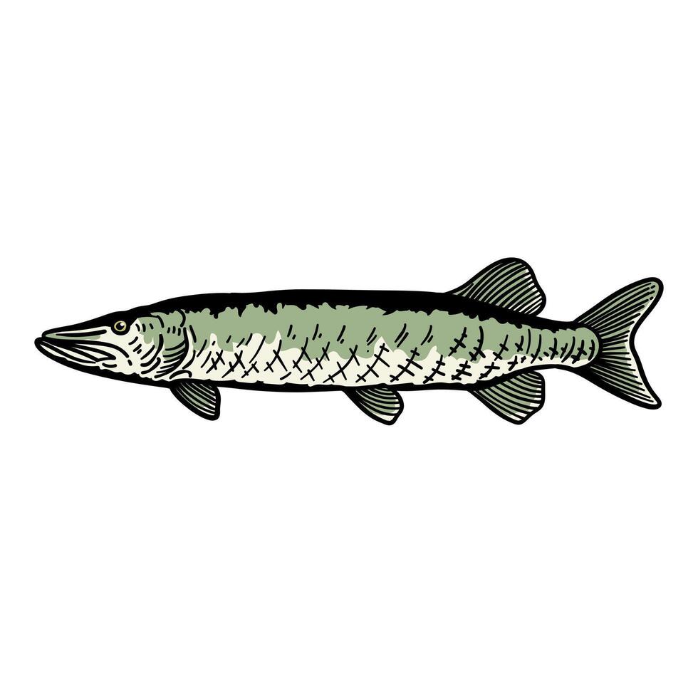 illustration graphic fish for design, template, elemen, illustration, etc vector