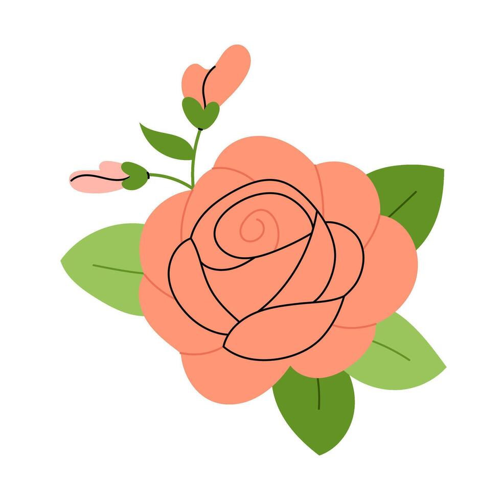 Illustration of a rose. Flowers for greeting cards, congratulations, invitation, poster or print. vector