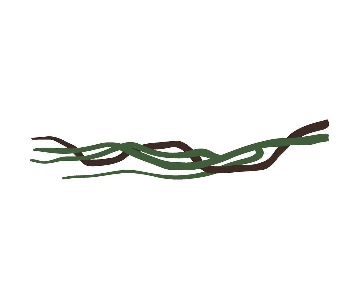 Wild Tropical Green Liana Stems, Jungle Plant Decorative Element, Rainforest Flora Illustration vector