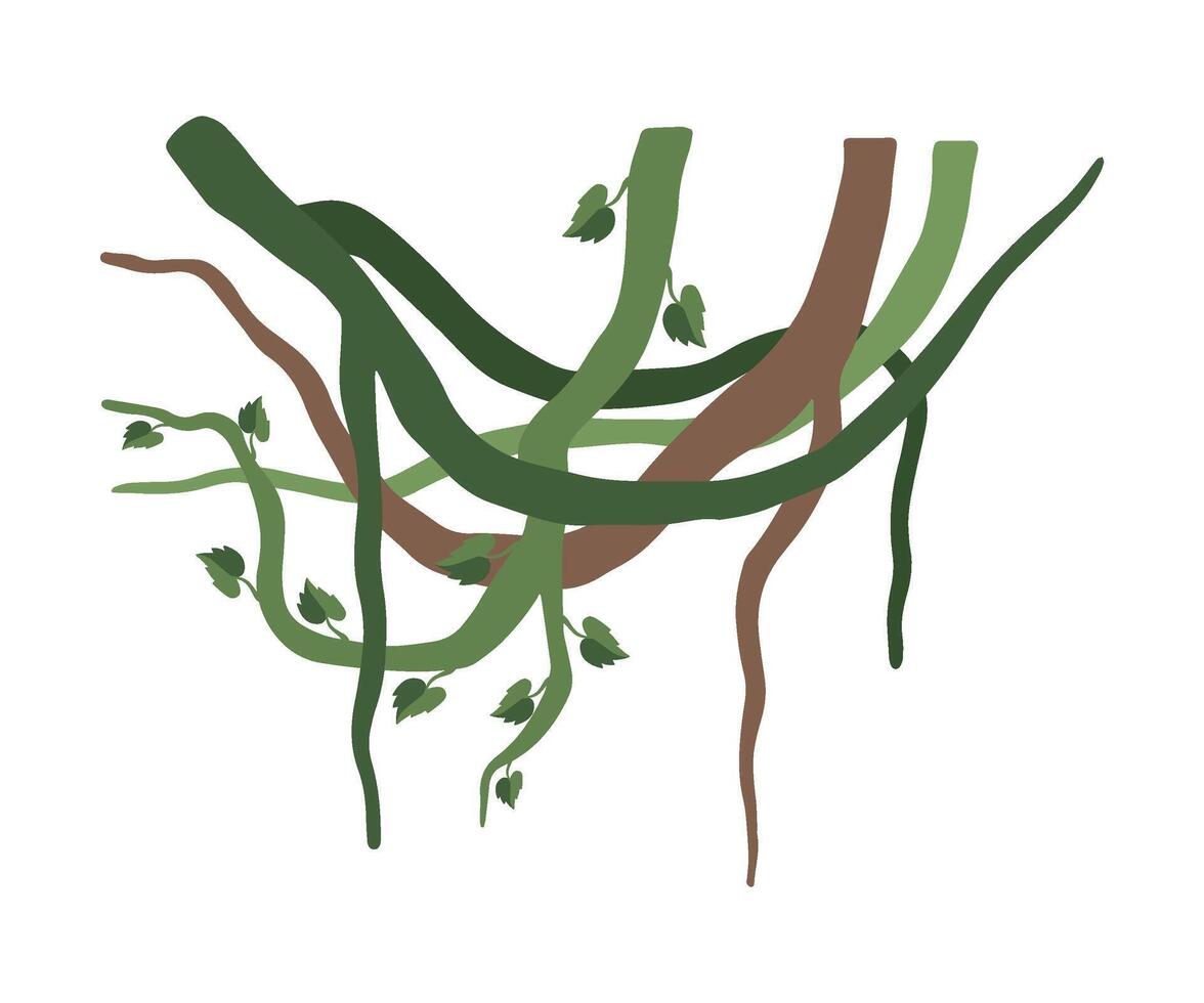 Green Liana Branches with Leaves, Jungle Plant Decorative Element, Rainforest Flora Illustration vector