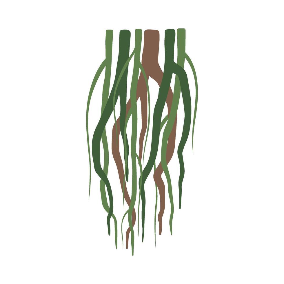 Tropical Liana Stems, Vines, Jungle Plant Decorative Element, Rainforest Flora Illustration vector