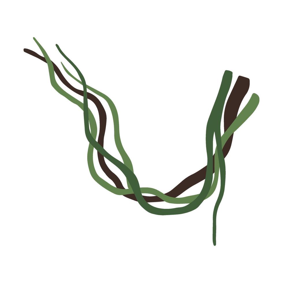 Tropical Winding Liana Branches, Vines, Jungle Plant Decorative Element, Rainforest Flora Illustration vector