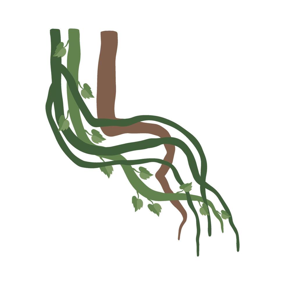 Liana Winding Branches with Leaves, Jungle Plant Decorative Element, Rainforest Flora Illustration vector