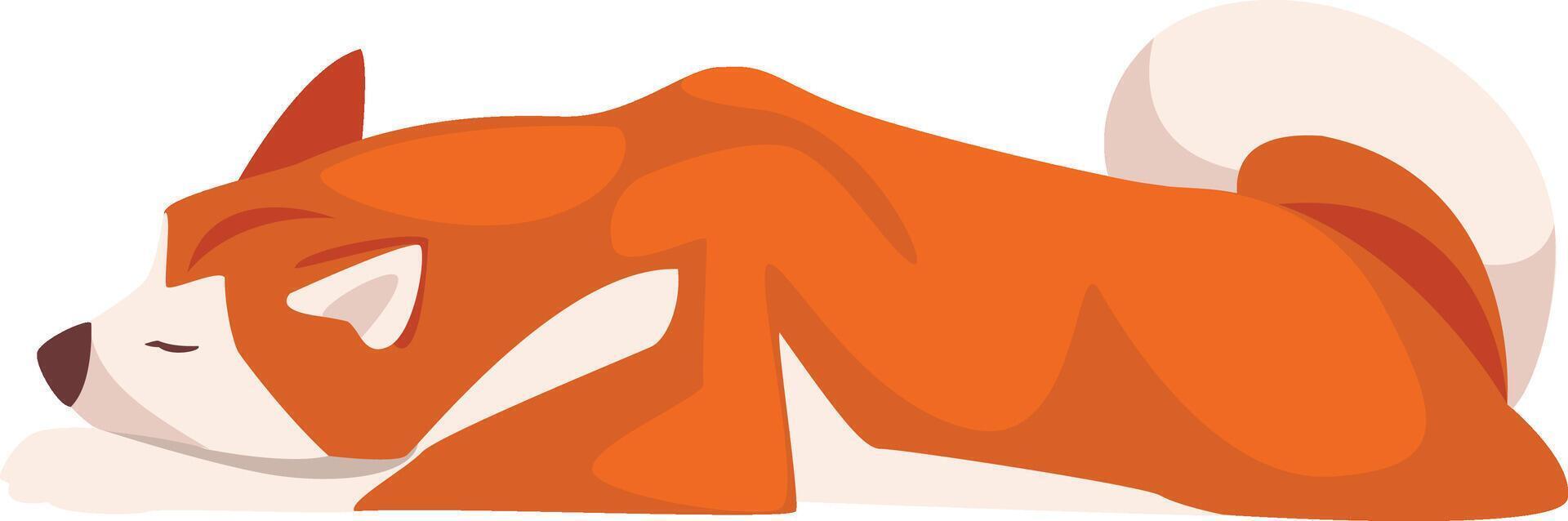 Shiba Inu Dog Lying and Sleeping, Cute Japan Fluffy Pet Animal Illustration vector
