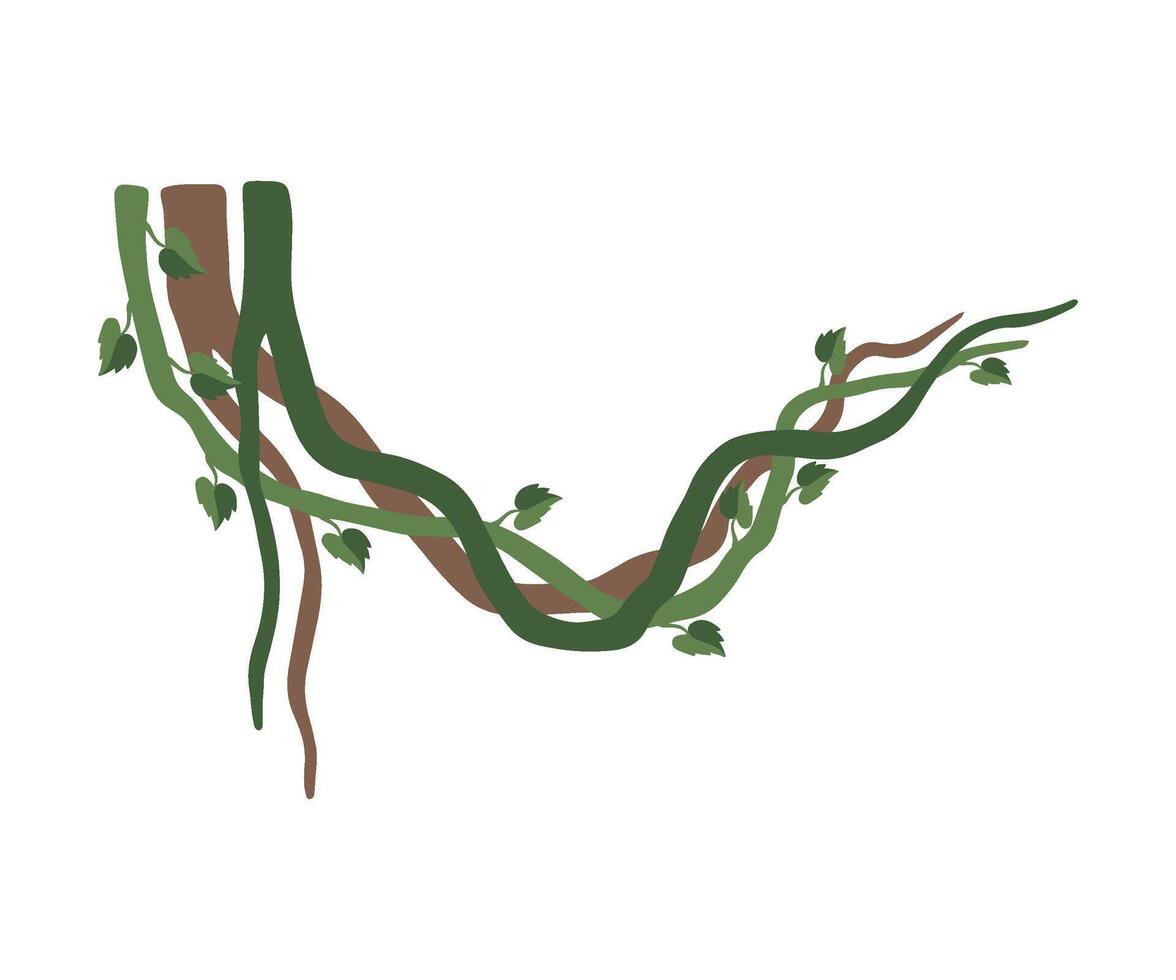 Tropical Winding Liana Branches, Jungle Plant Decorative Element, Rainforest Flora Illustration vector