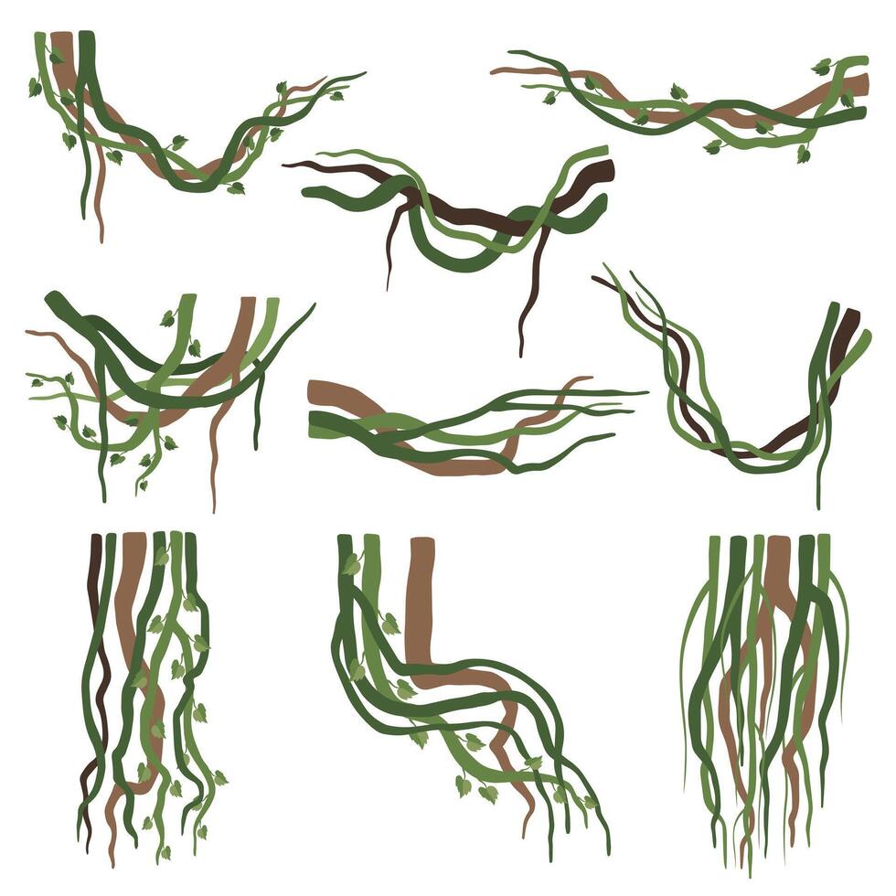 Tropical Winding Liana Branches Set, Jungle Plants Decorative Elements, Rainforest Flora Illustration vector