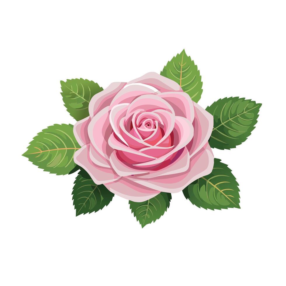 Elegant pink rose with detailed petals and green leaves on a white background. Design for banners, cards, flyers, celebration, wedding, invitation, social media wallpapers. vector