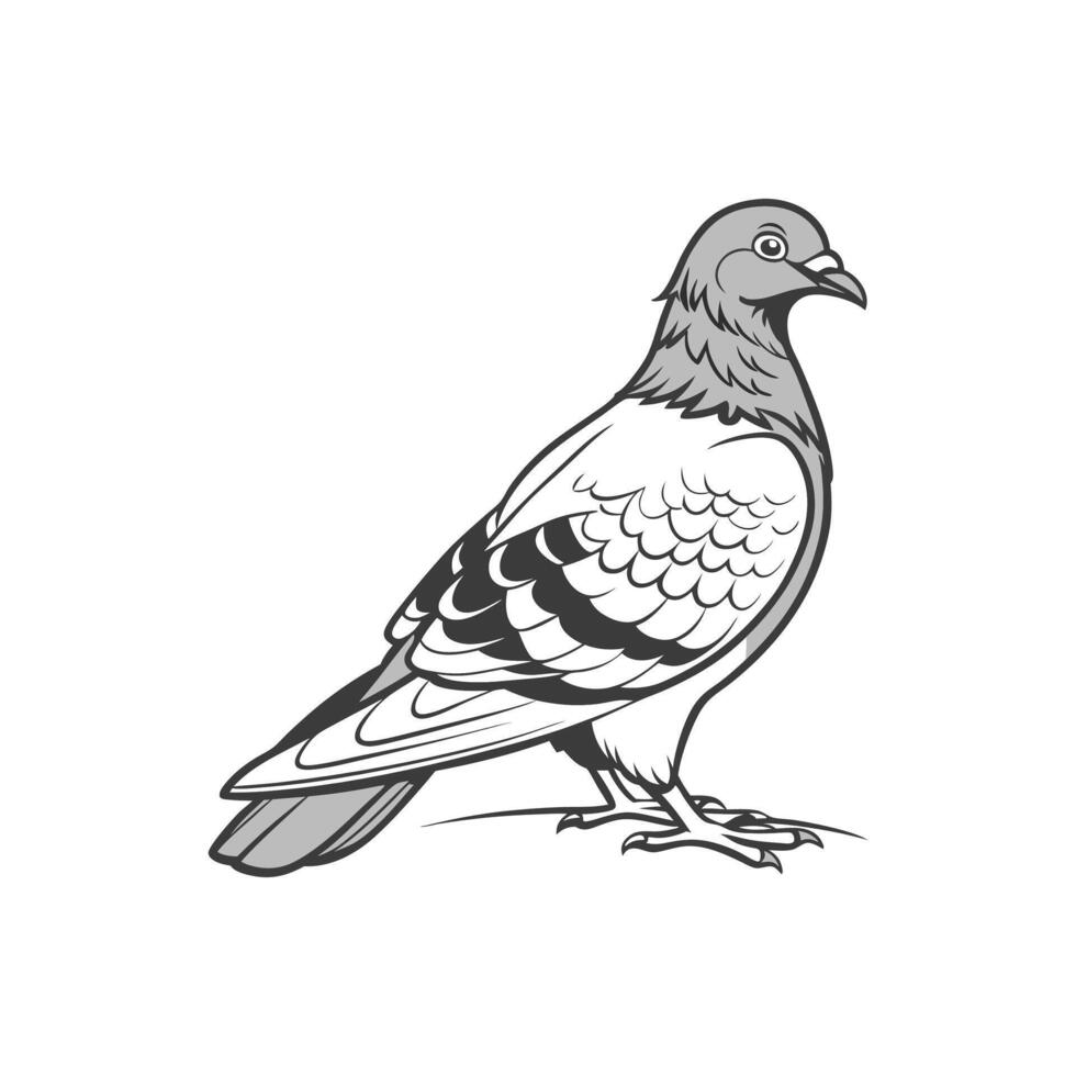 A black and white drawing of a pigeon vector