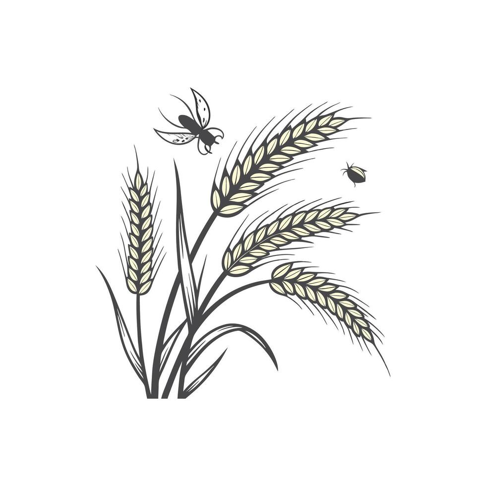 A wheat field with a bee and some wheat vector