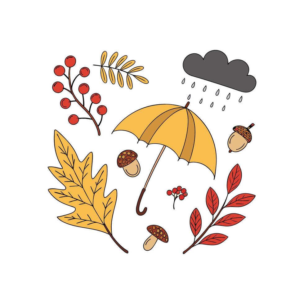 Autumn leaves and umbrella illustration vector