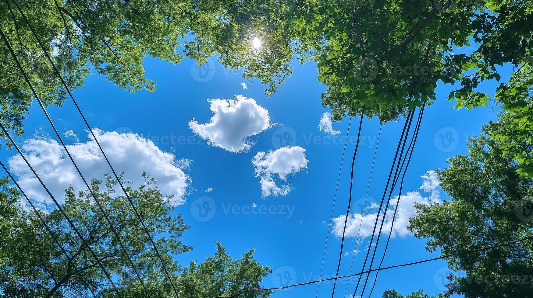 Blue sky framed by treetops and power lines image. Lush green trees foliage. Bright summer day photography scene wallpaper. Natural urban composition concept photorealistic photo