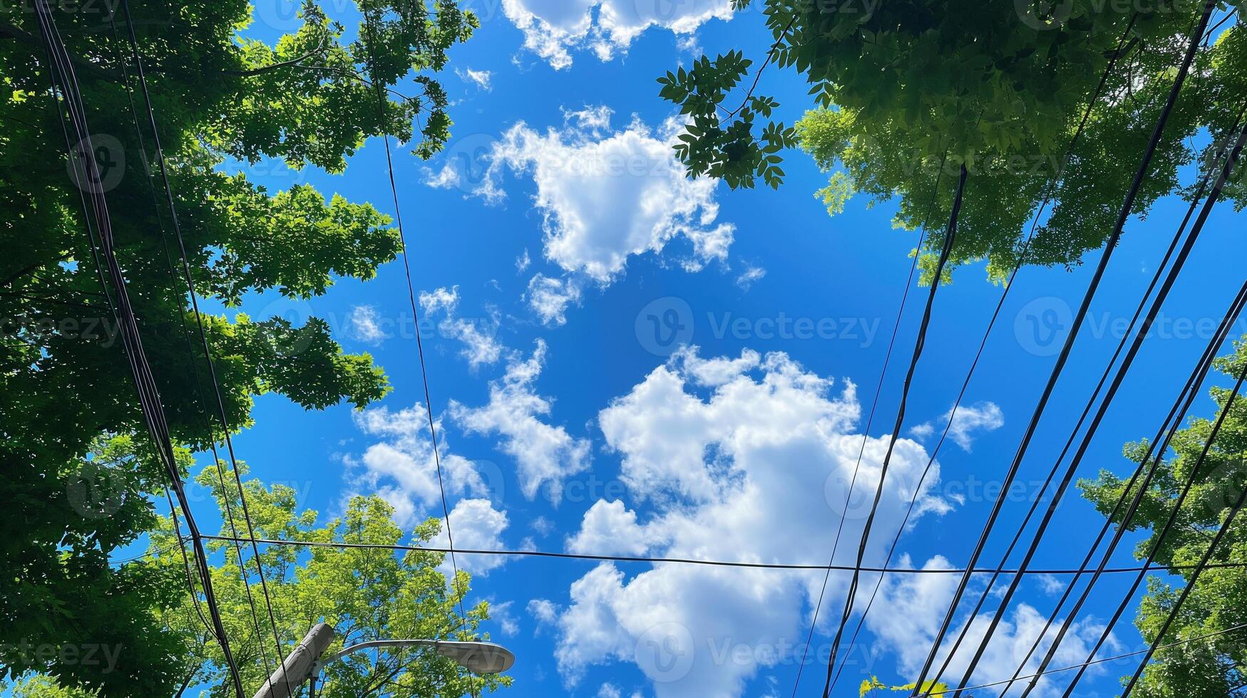 Fluffy clouds and trees canopy with power lines image. Sunny sky powerlines. Bright summer day photography scene wallpaper. Natural urban composition concept photorealistic photo