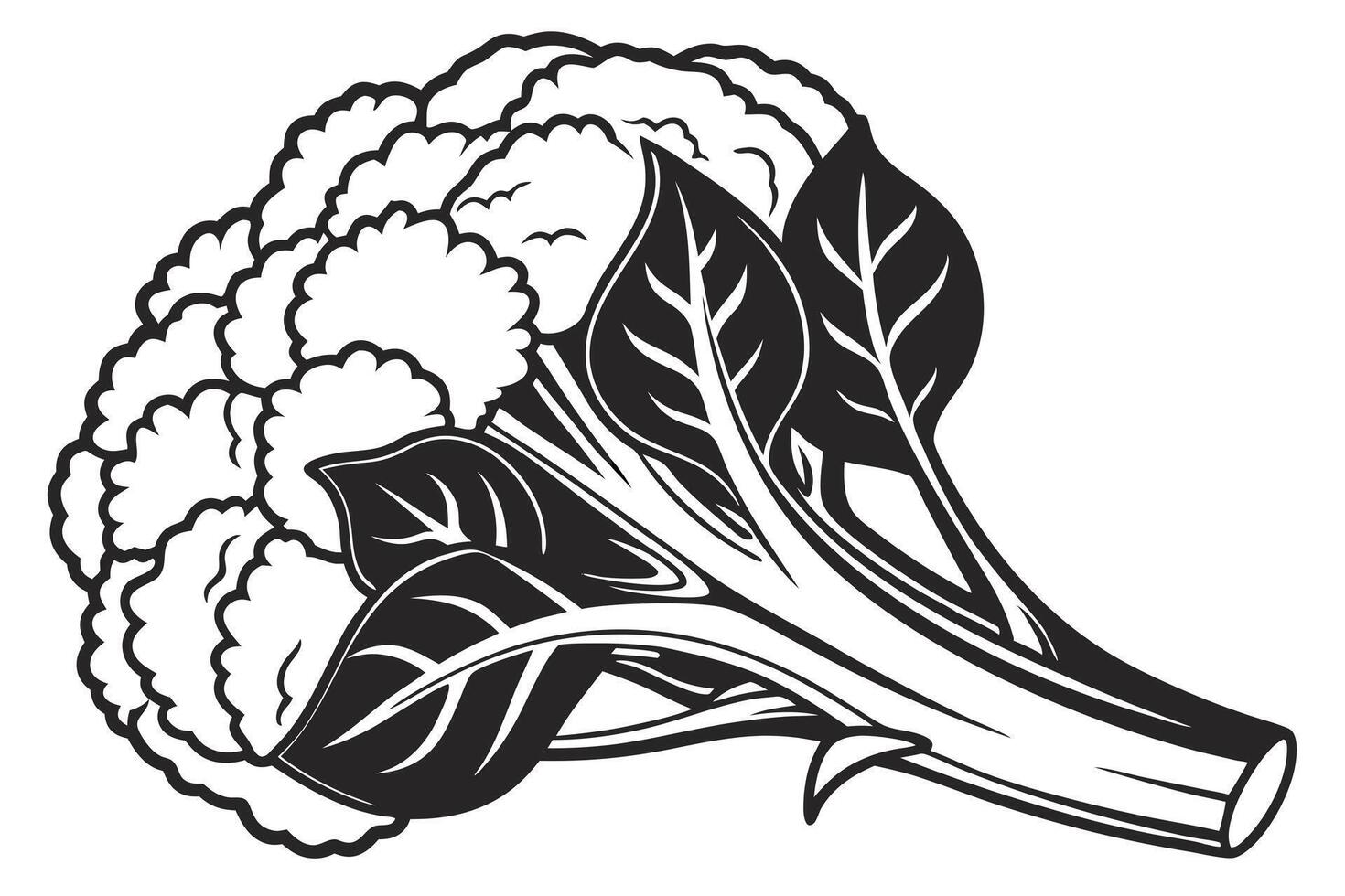 a black silhouette image cauliflower illustration white background vector