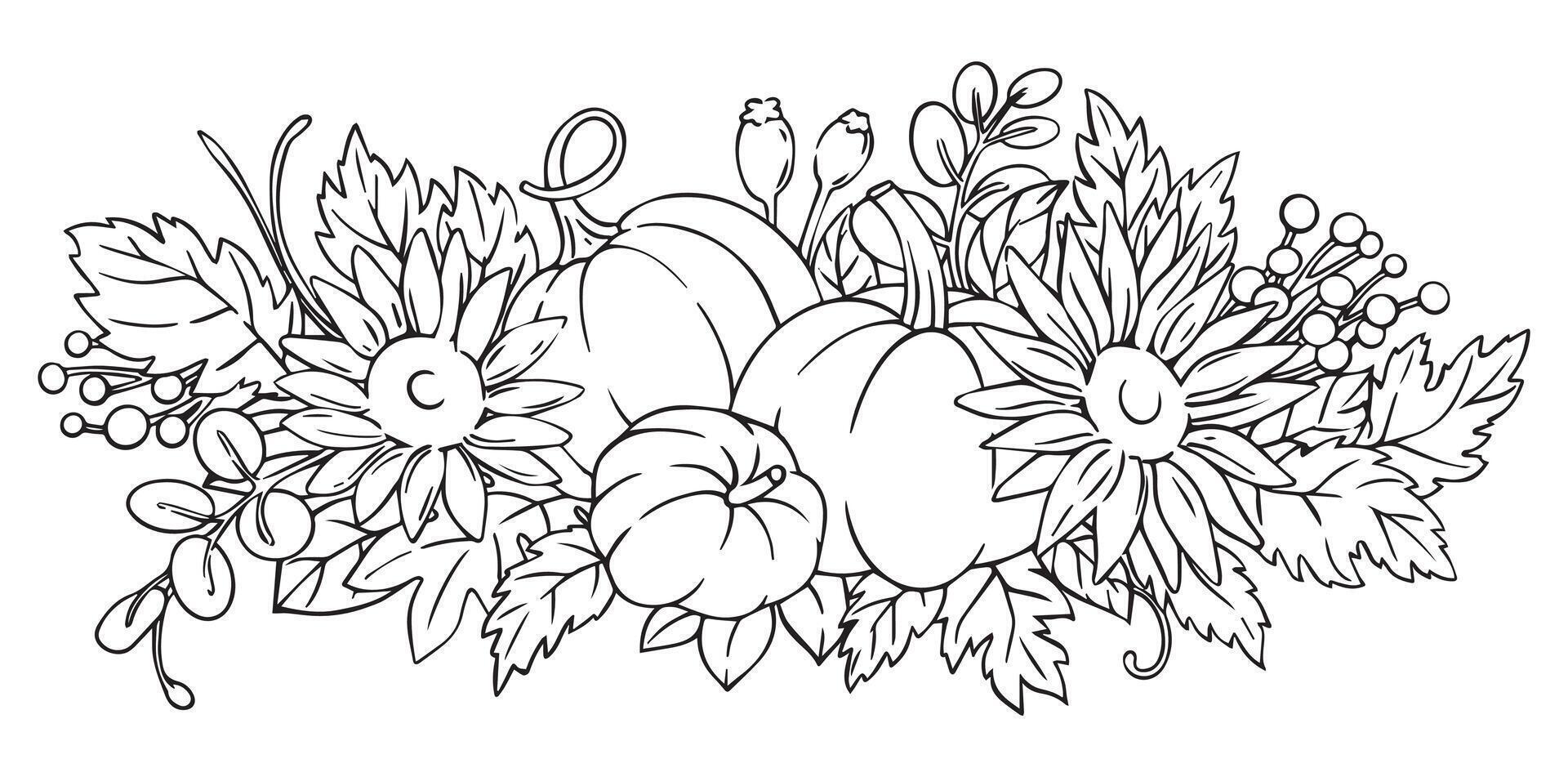 autumn composition of pumpkins and sunflowers in sketch style. Thanksgiving decoration, coloring book vector