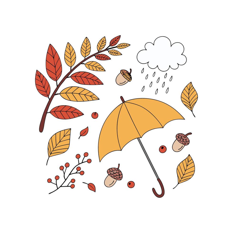 Autumn leaves and umbrella illustration vector