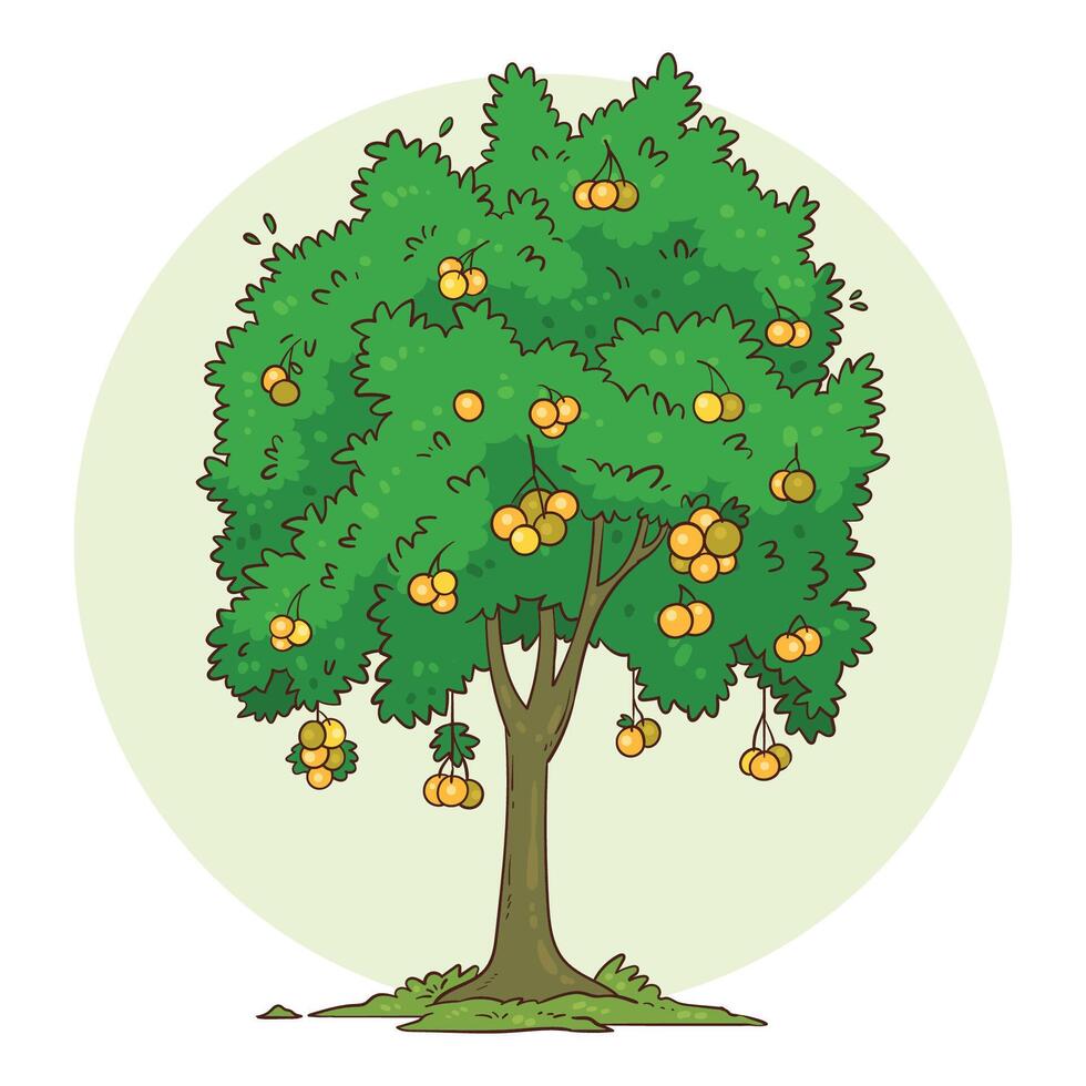 hand drawn orange tree vector