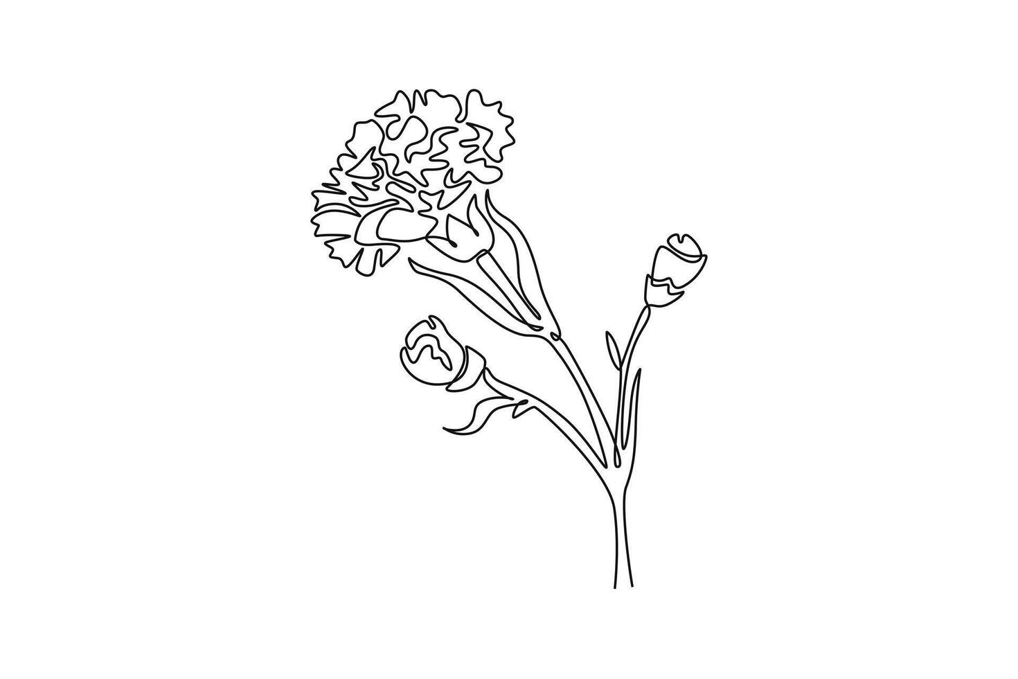 Continuous one line drawing beauty fresh carnation for home art wall decor poster. Printable decorative dianthus flower for greeting card ornament. Single line draw design graphic illustration vector
