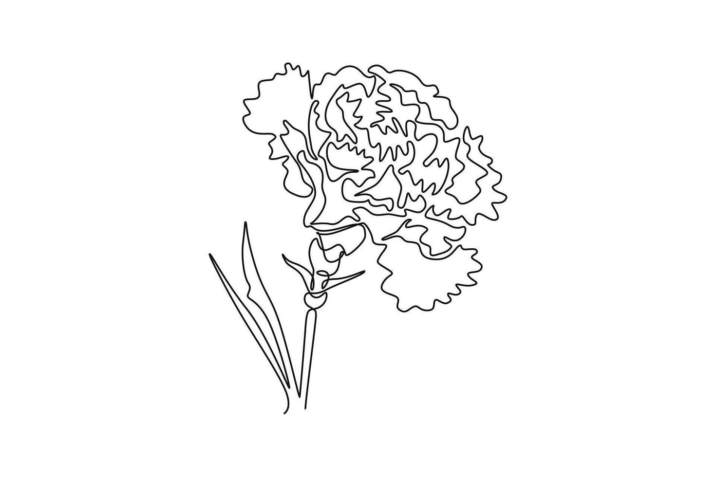 Continuous one line drawing of beauty fresh carnation for garden logo. Decorative dianthus caryophyllus flower for home wall decor art poster print. Single line draw design graphic illustration vector