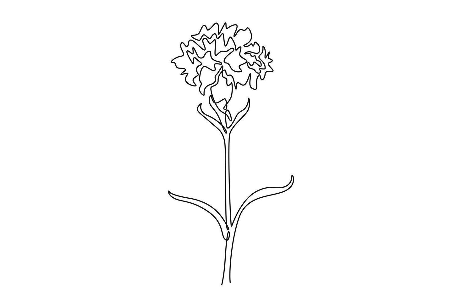 Single one line drawing of beauty fresh carnation for home wall decor poster print art. Decorative clove pink flower concept for greeting card. Continuous line draw design graphic illustration vector