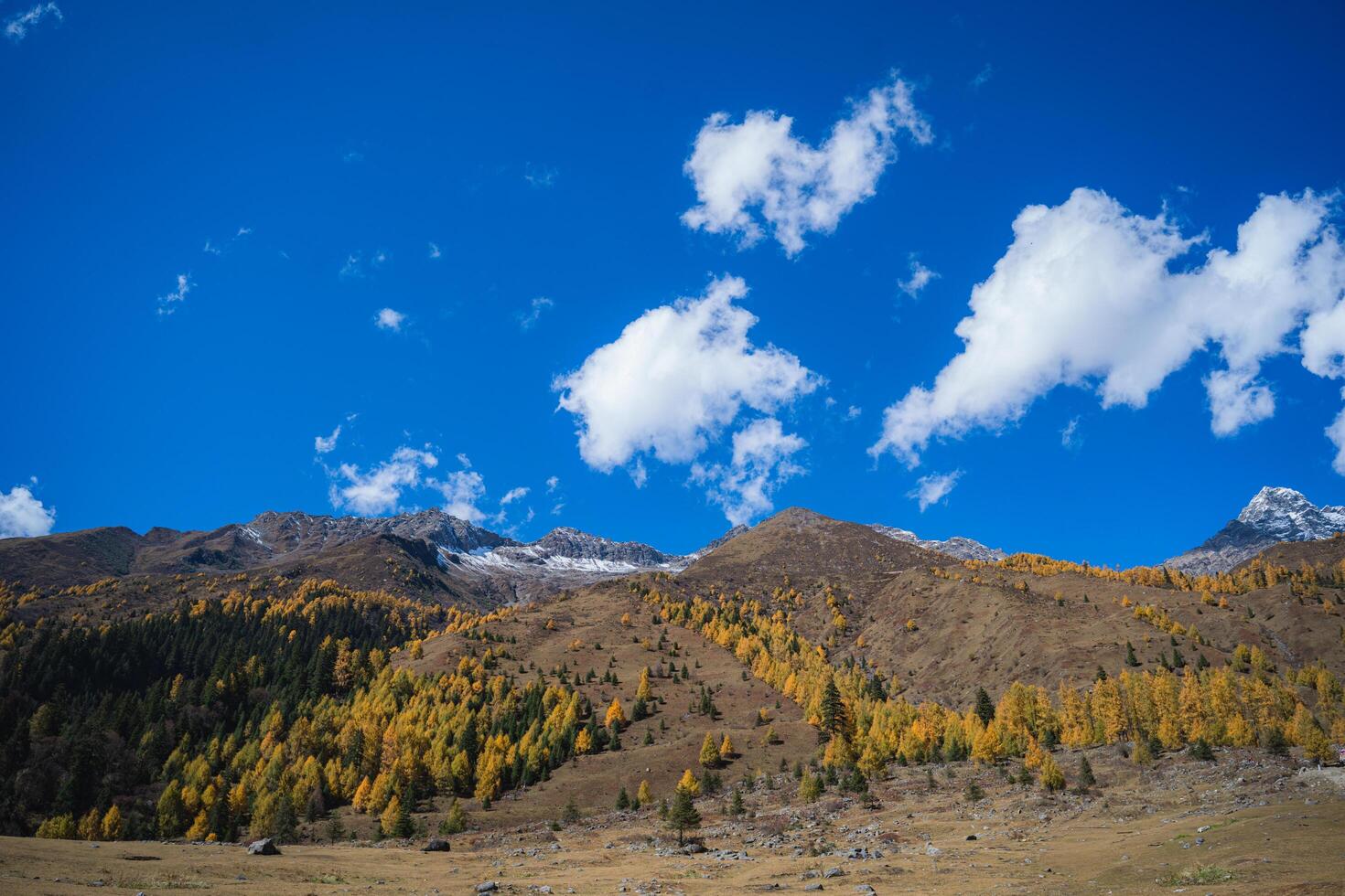 China.Siguniang mountain or Four sister mountain with snow cap on top and colourful photo