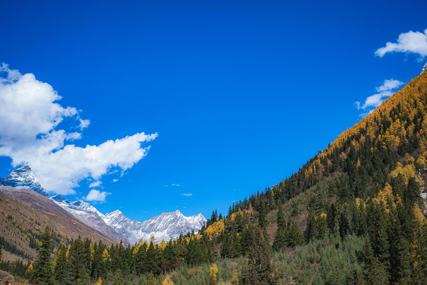 China.Siguniang mountain or Four sister mountain with snow cap on top and colourful photo