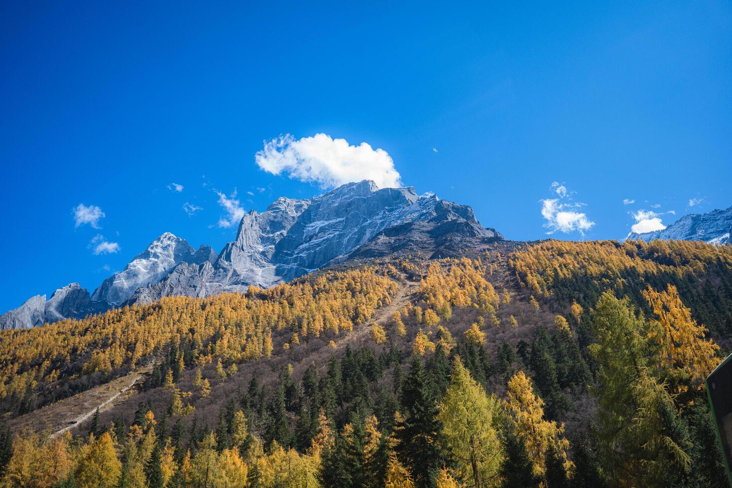 Four Girls Mountain in Aba prefecture Chengdu city Sichuan province, China. photo