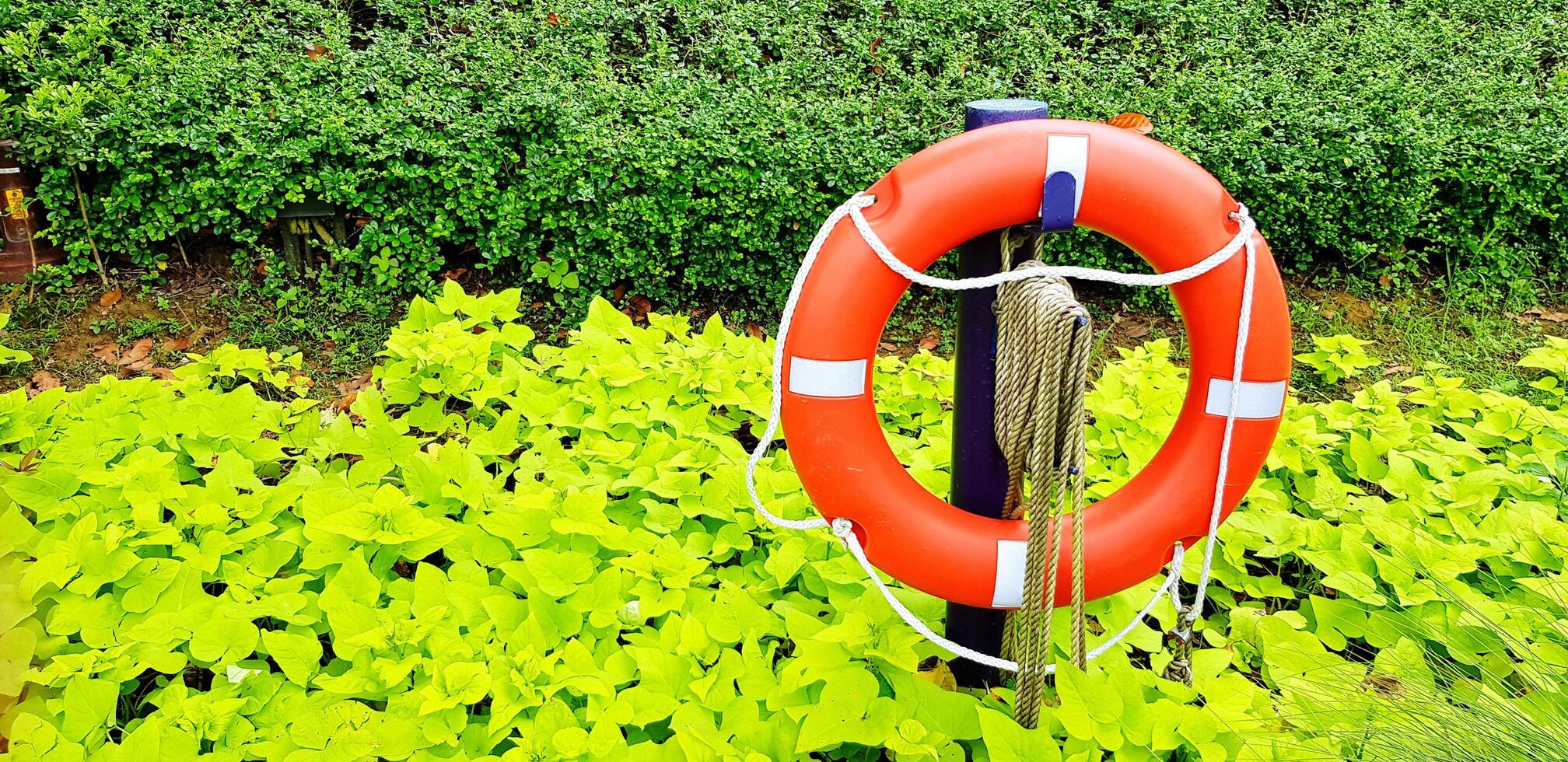 Close up orange rubber lifejacket in the garden with many green leaves background and copy space. Safety life, Nature and Object decorated concept. photo