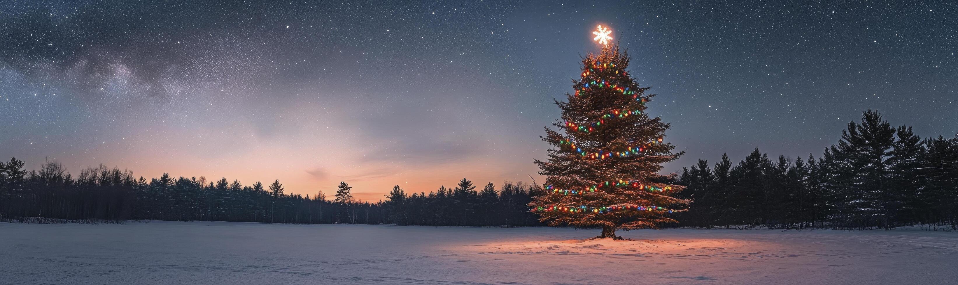 A Christmas tree is lit up in the snow. The sky is dark and starry. The scene is peaceful and serene photo