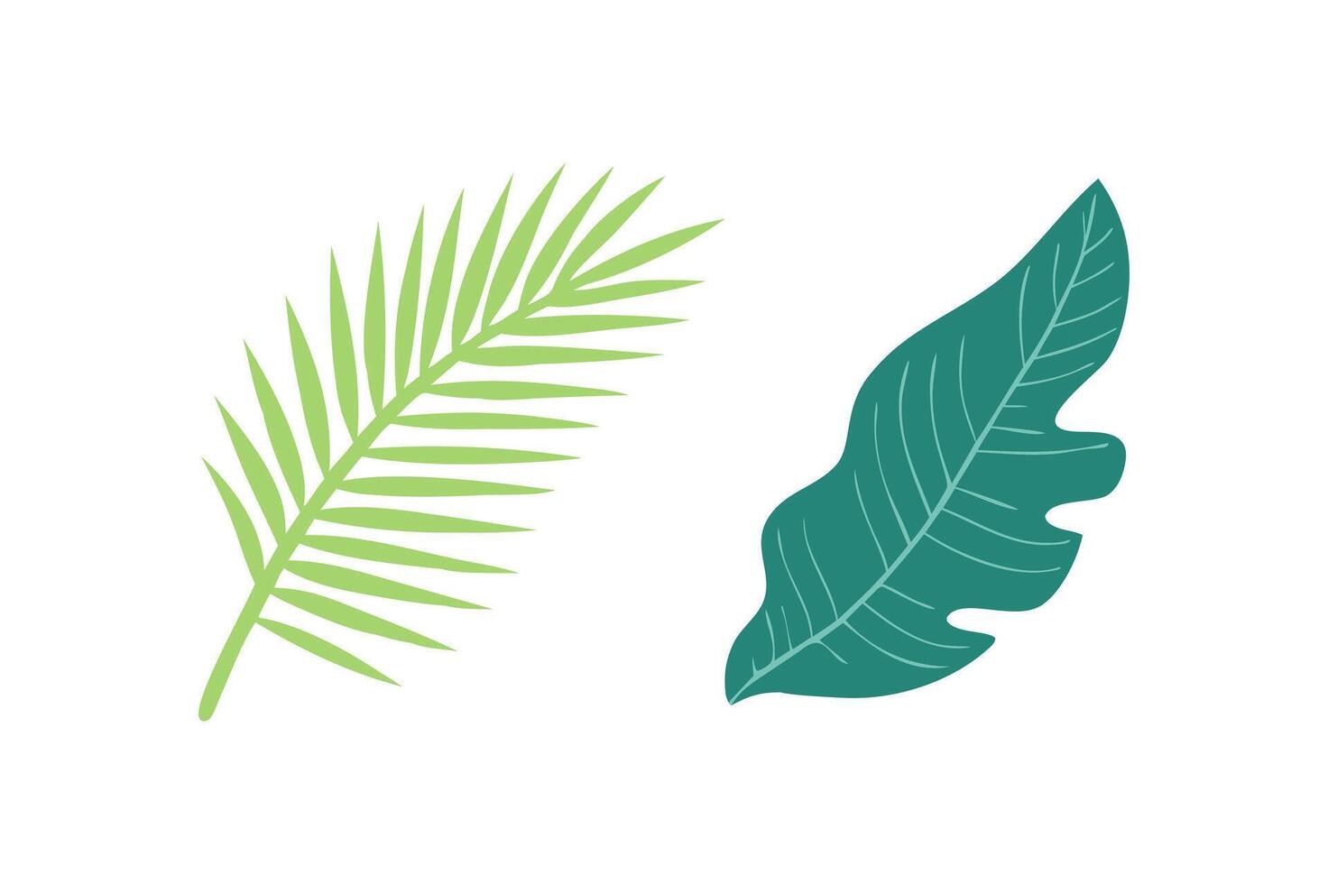 Bright and Fresh Tropical Leaf tropical leaves, green tropical leaf bright color art illustration isolated on white background vector
