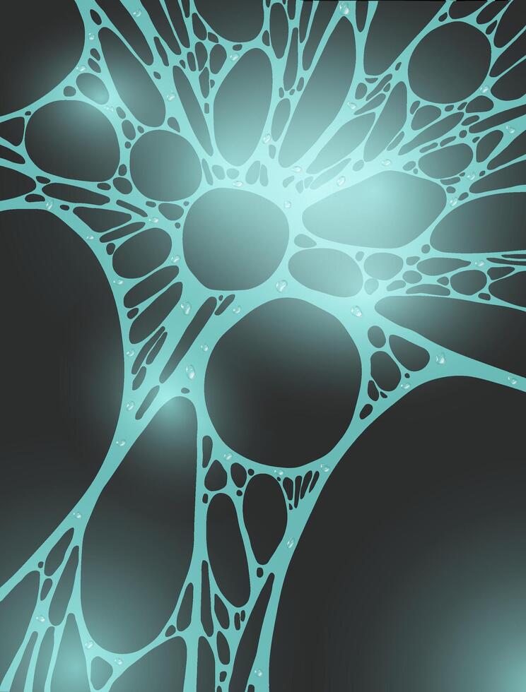 Dew drops on a spider's web vector