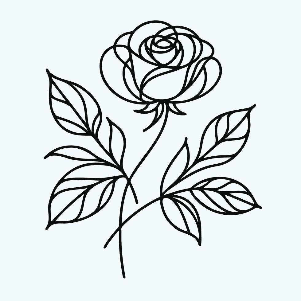 A rose is drawn in a line on a white background vector