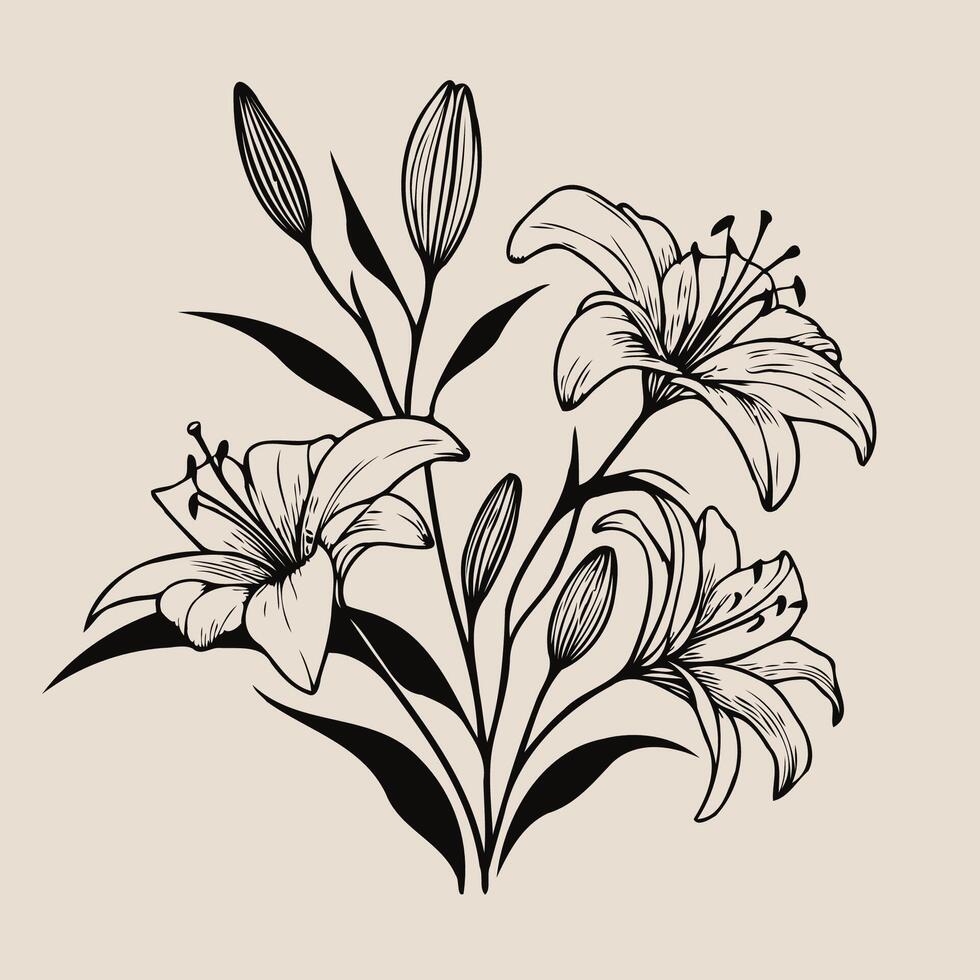 illustration of lily flowers on a beige background vector
