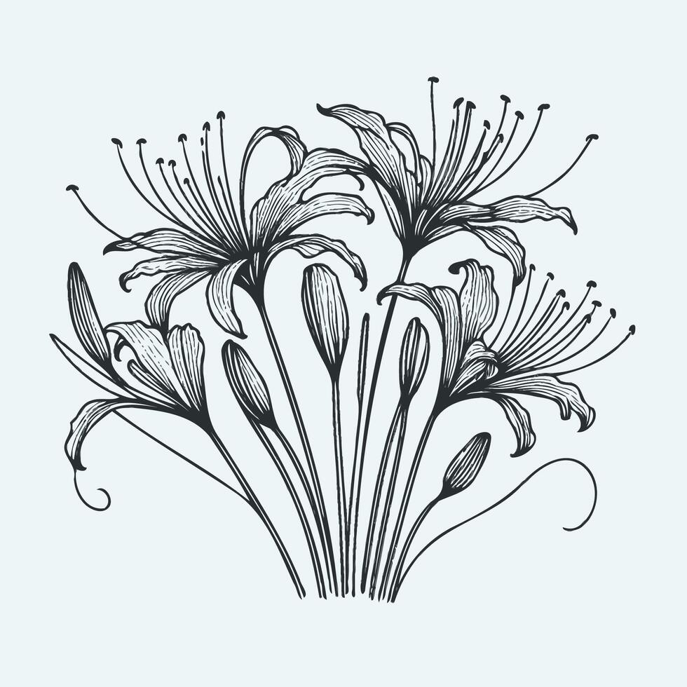 A drawing of a bouquet of flowers vector