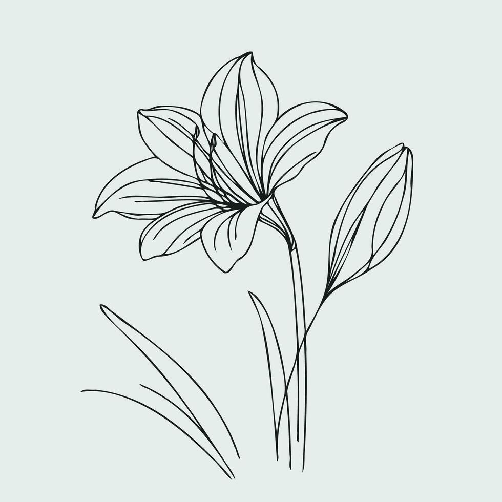 A drawing of a lily on a green background vector
