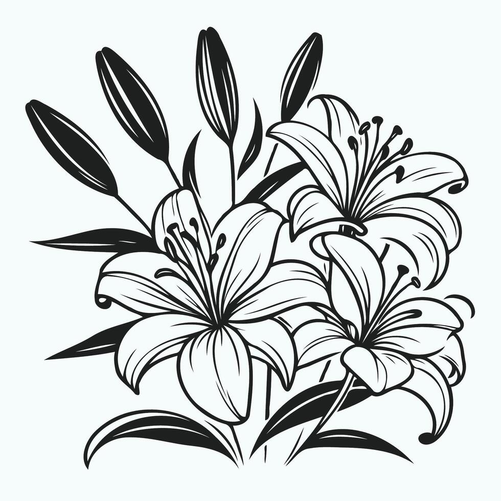 Black and white lily flowers on a white background vector