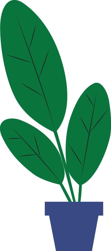 Flat house plant vector