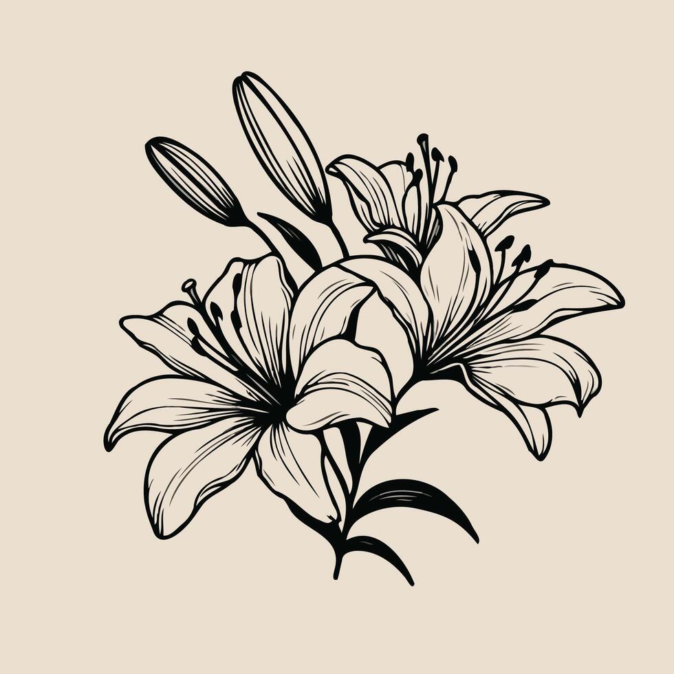 illustration of lily flowers on a beige background vector