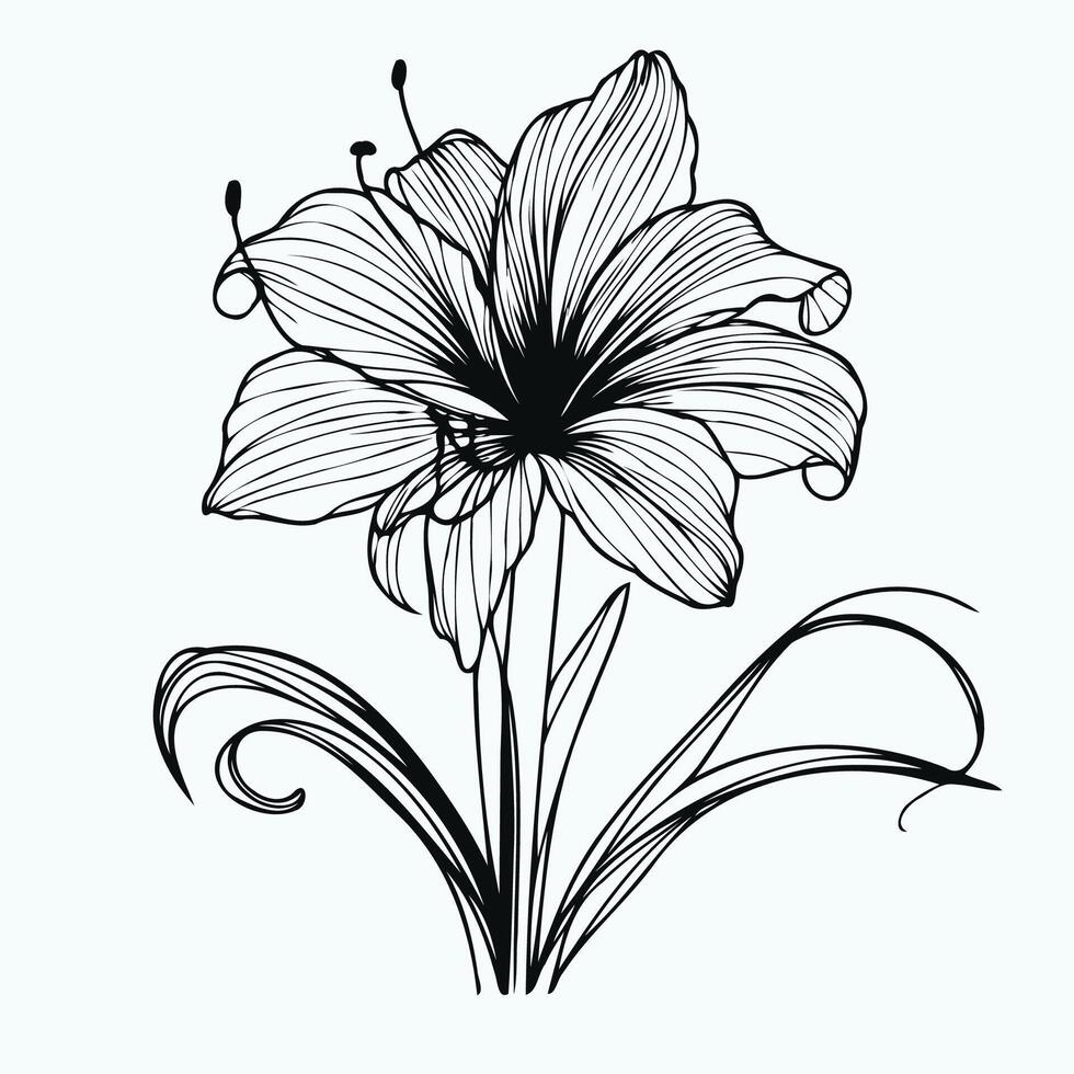 A black and white drawing of a flower vector