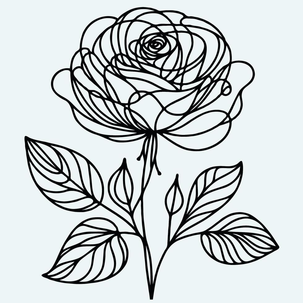 A line drawing of a rose with leaves vector