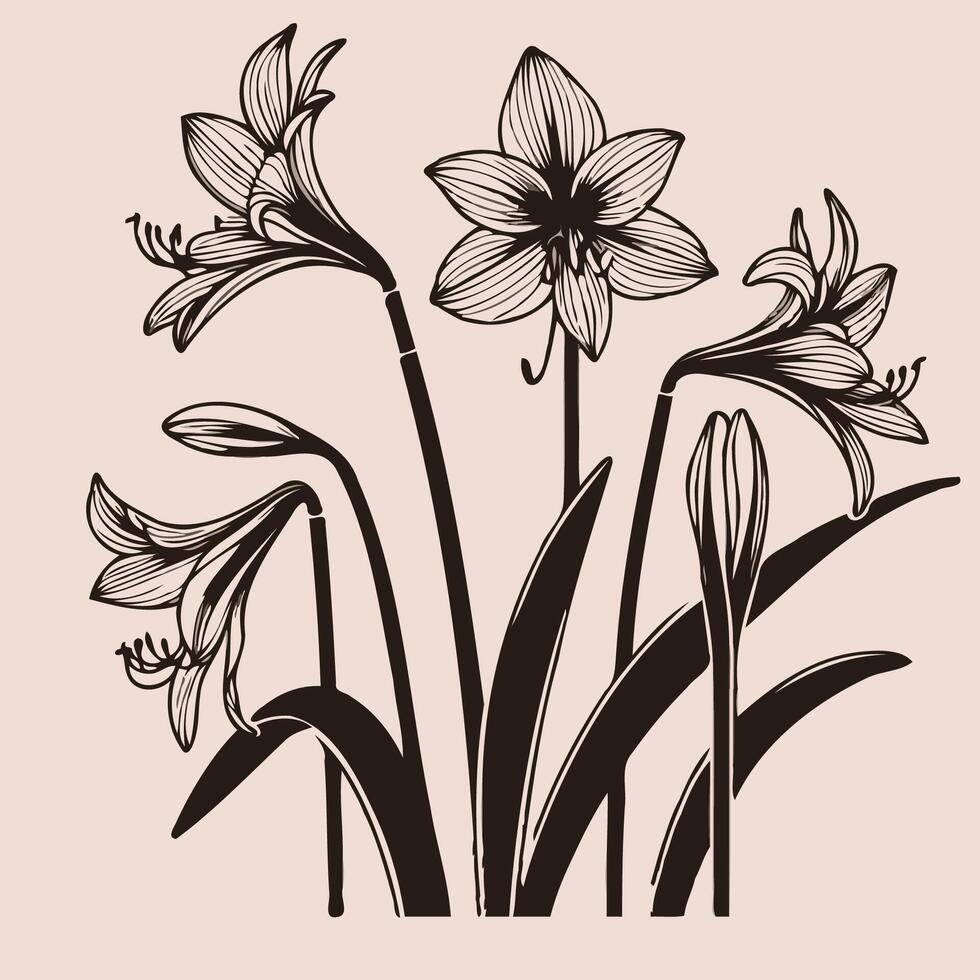 illustration of lily flowers on a pink background vector