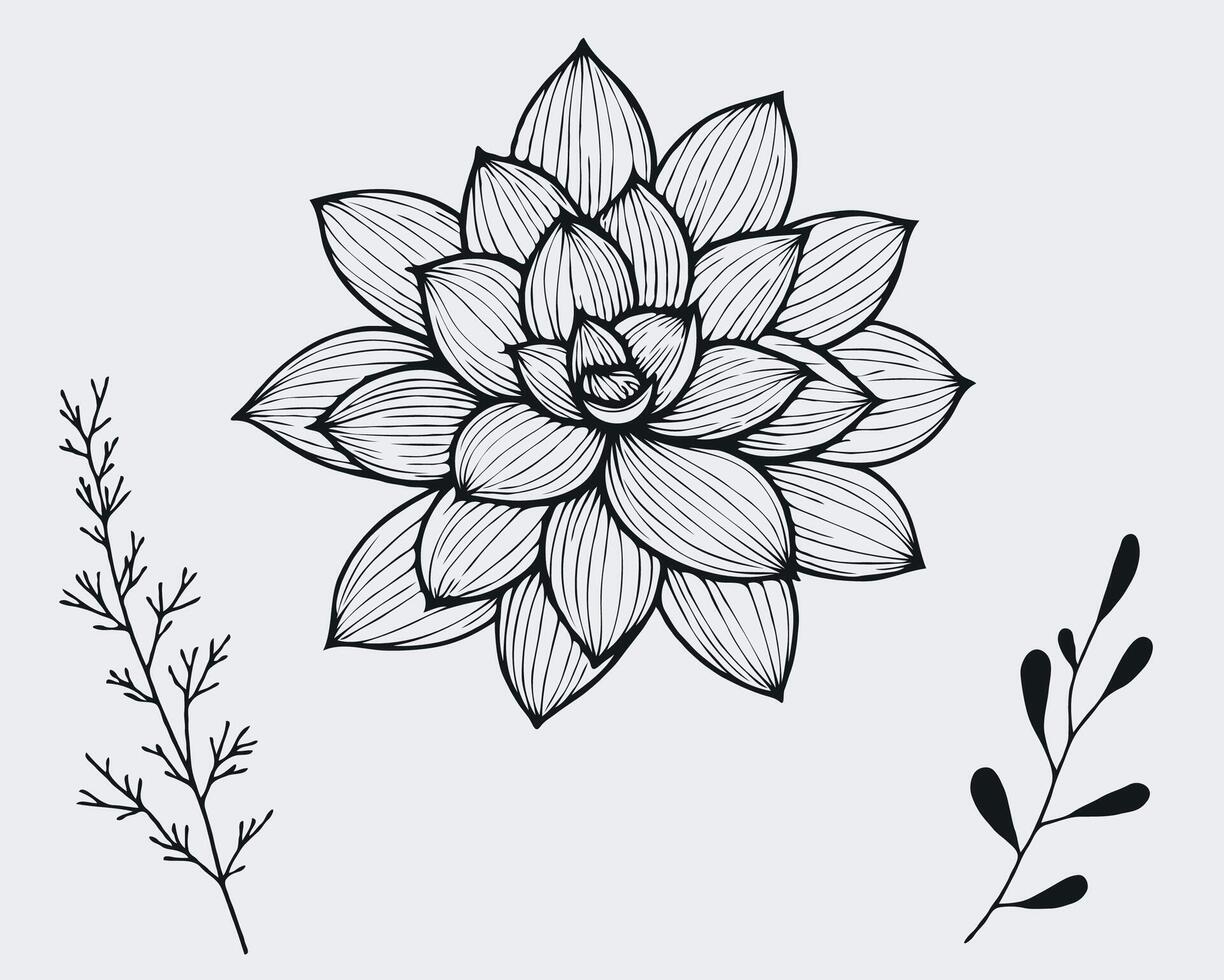 A drawing of a flower with leaves vector