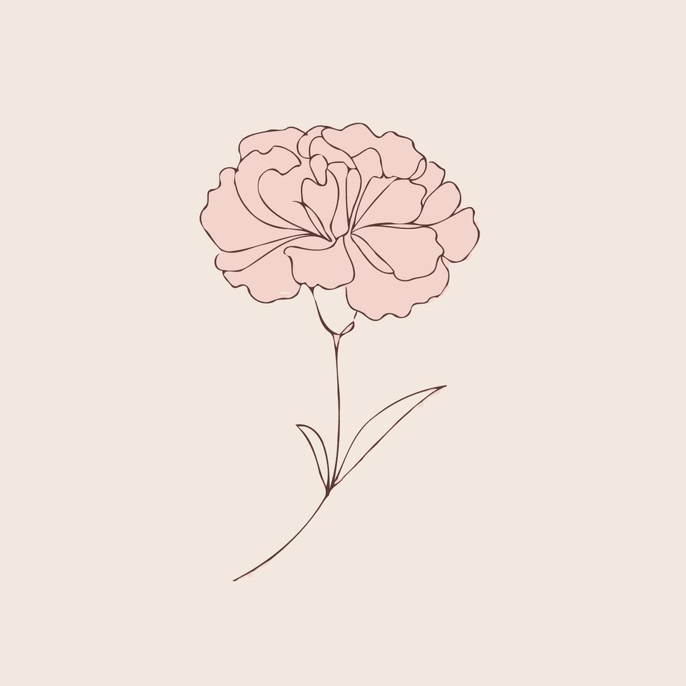 A pink carnation flower on a beige background vector