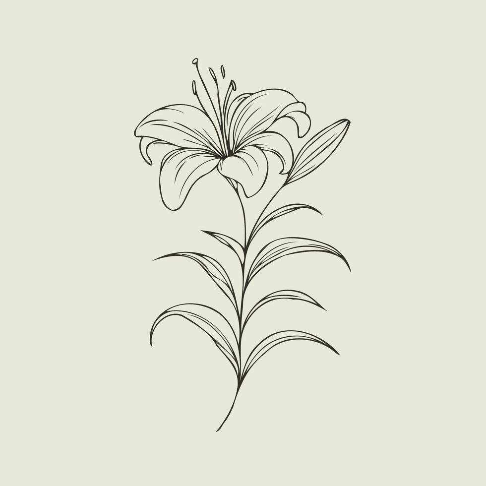 A drawing of a lily on a beige background vector