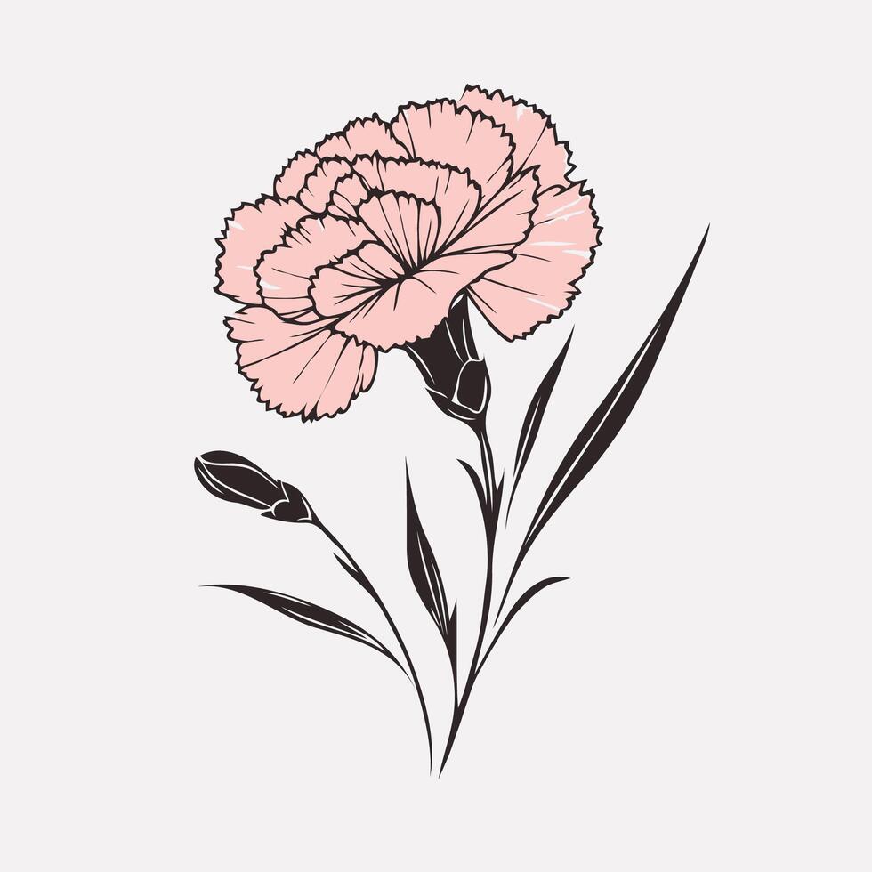 Carnation flower, pink, black and white, isolated on white background vector